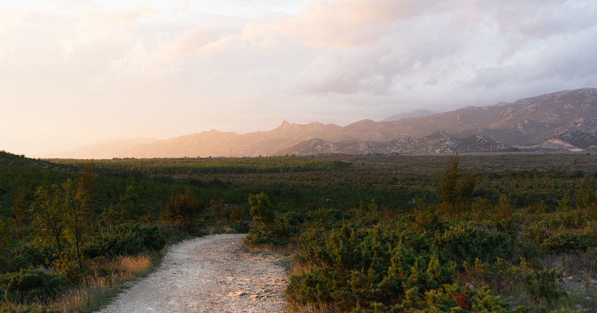Peaceful mountain landscape with a winding path at sunset.