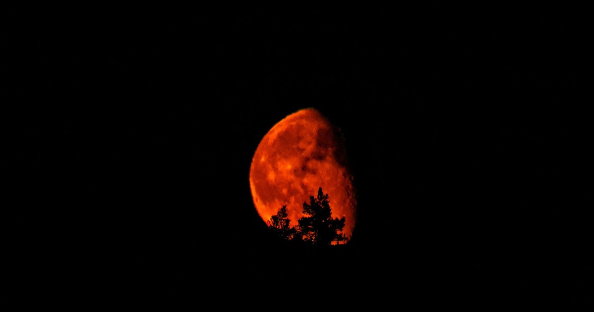 Stunning blood moon rising dramatically above silhouetted trees at night.