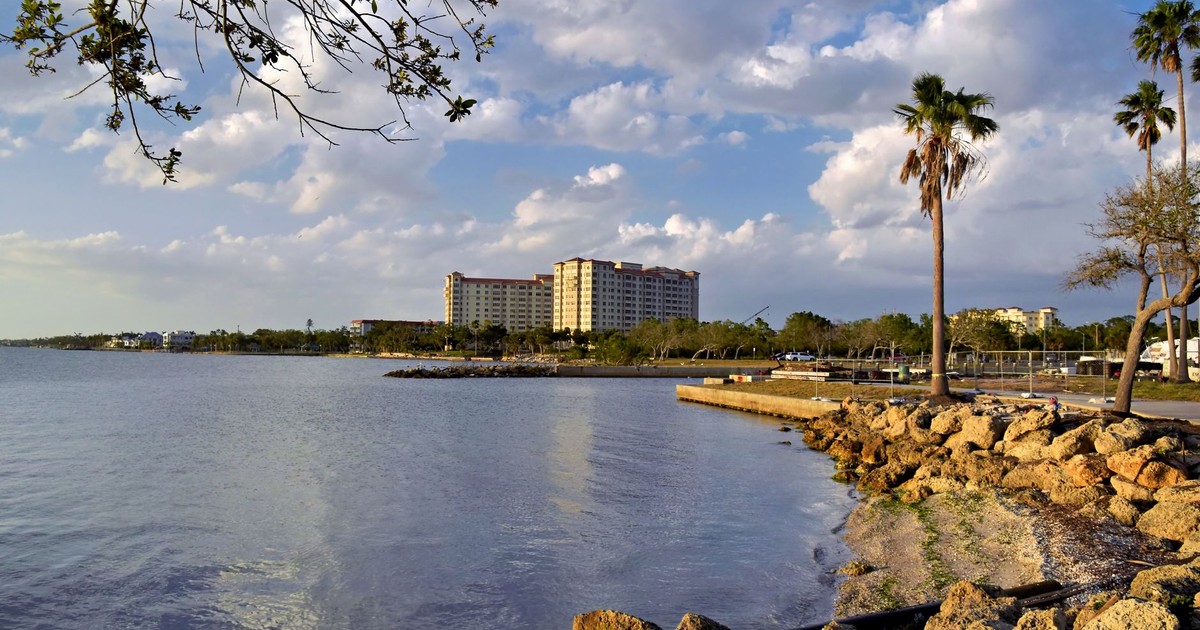 Peaceful waterfront in Sarasota with palm trees, rocks, and blue sky.