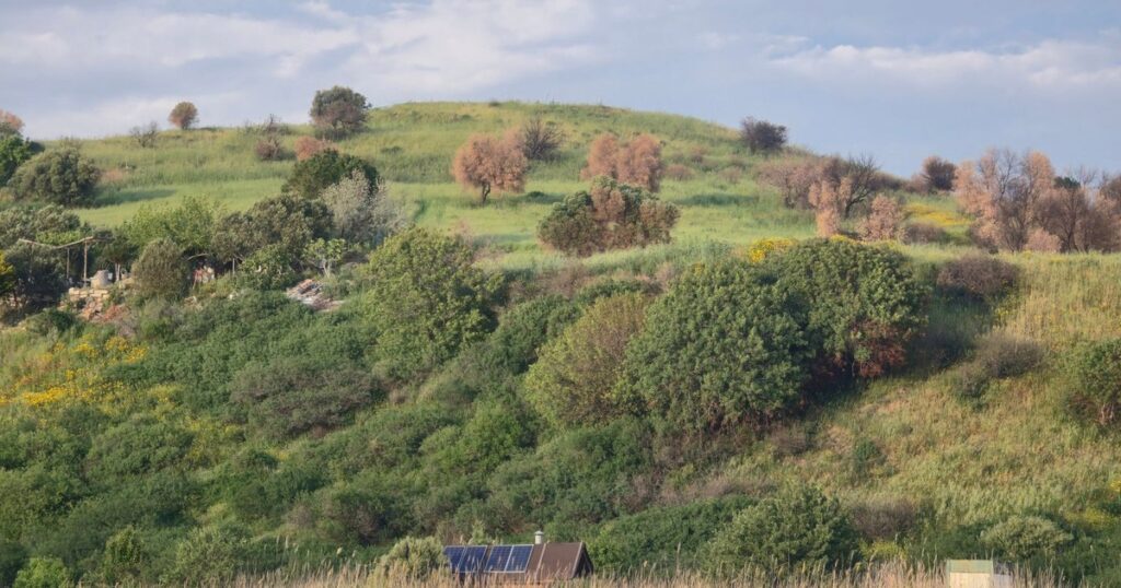 Living Off-Grid for a Year Revealed 11 Things Nobody Warned Me About - Featured image
