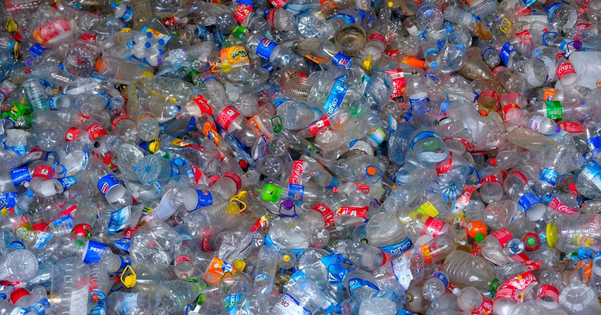 Colorful heap of discarded plastic bottles highlighting recycling and waste management.