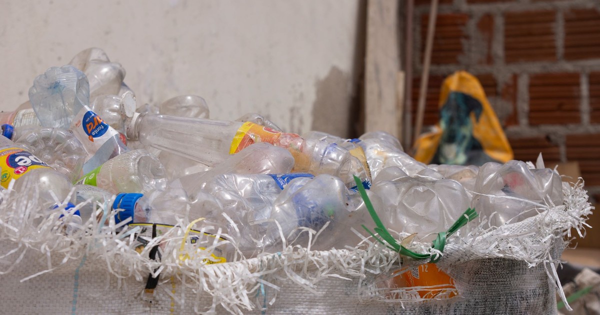 A collection of plastic bottles in a bin, ready for recycling, outdoors.