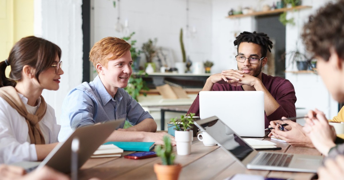 A diverse group of adults collaborating in a modern office setting with laptops and plants.