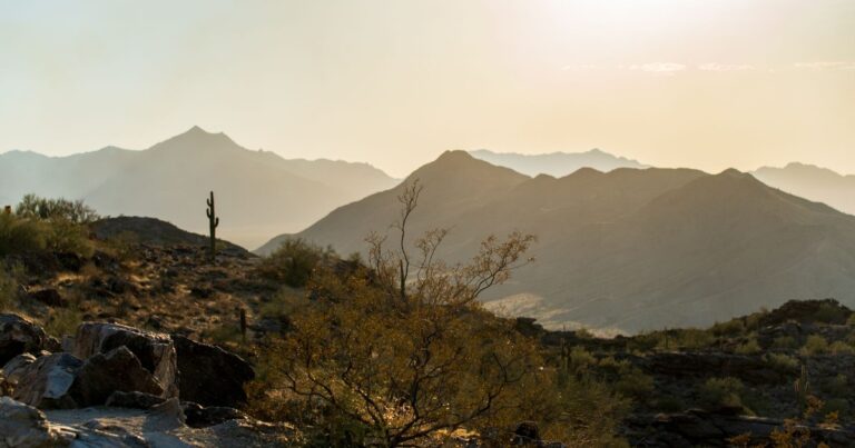 Retirees Who Moved to Arizona Say These 10 Things Aren’t Worth the Hype - Featured image