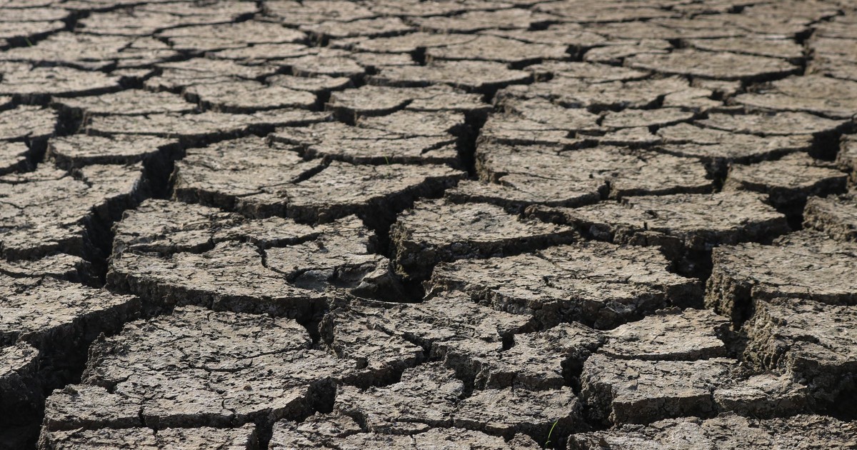Aerial view of cracked, dry ground representing drought and environmental stress.