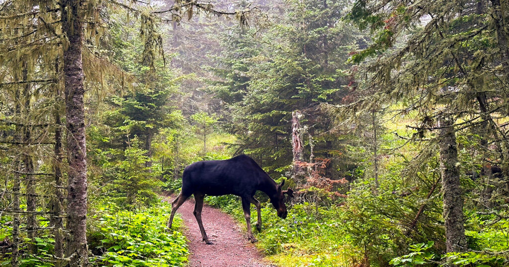 11 Incredibly Breathtaking Midwest National Parks You’ve Probably Never Heard Of (But Should Visit) - Featured image
