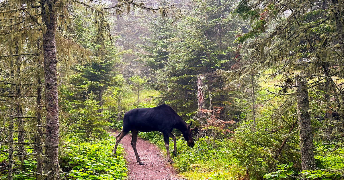 11 Incredibly Breathtaking Midwest National Parks You’ve Probably Never Heard Of (But Should Visit)