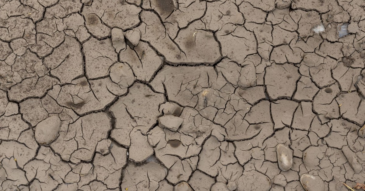 Close-up of cracked, dry earth showcasing the effects of drought and environmental stress.