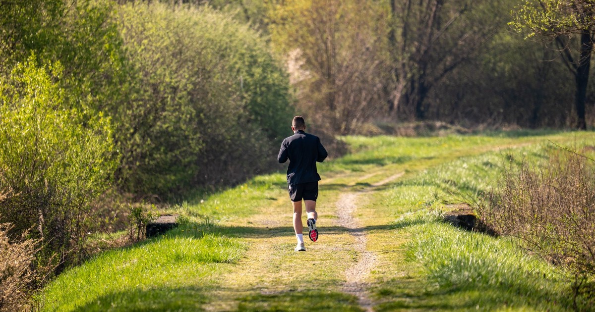 A man jogs on a scenic, grassy forest path surrounded by lush greenery under daylight.