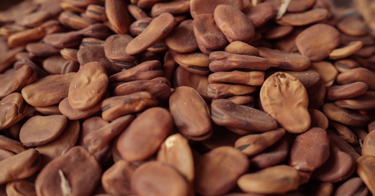 A detailed close-up of raw fava beans showcasing texture and earthy tones.