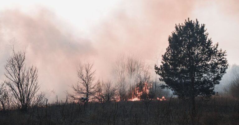 Wildfire Smoke Season Now Lasts Almost Half the Year — Here’s Why - Featured image