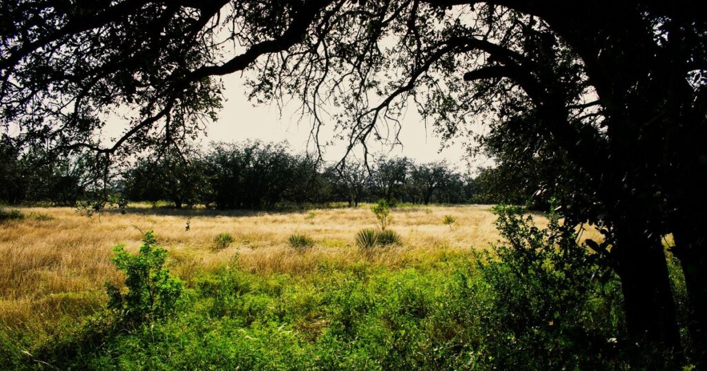 Willie Nelson Doesn’t Want Data Centers Near His Texas Home, ‘The Last Thing We Need’ - Featured image