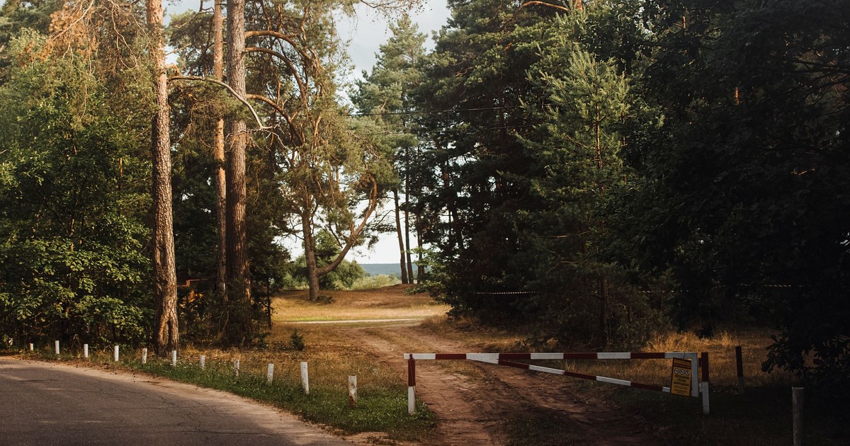 A tranquil forest path at Высокий Берег in Минская область, Belarus, on a summer day.