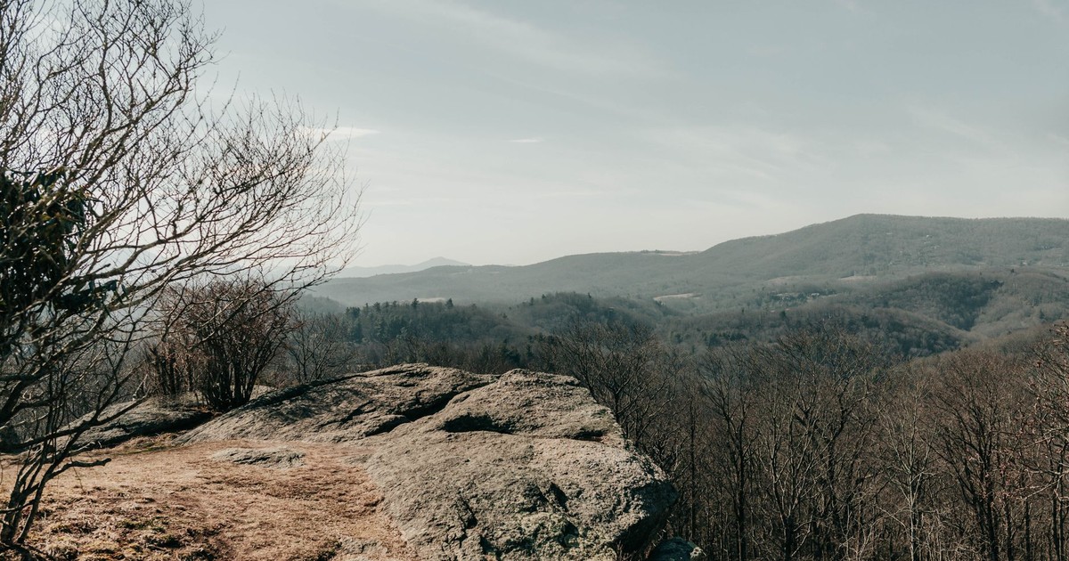 Expansive view of Asheville's mountains and forest, capturing the essence of fall.