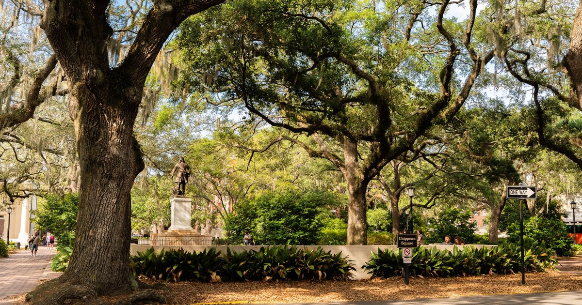 View of Chippewa Square in Savannah featuring lush live oaks and historical architecture.