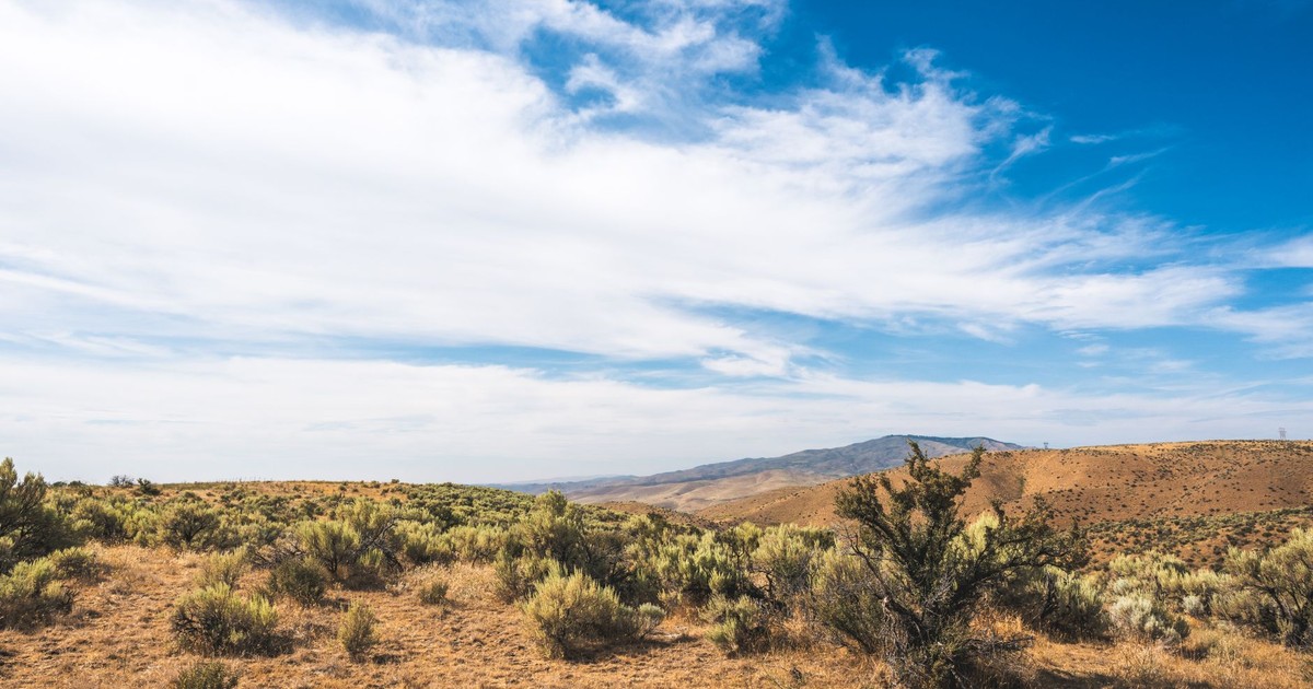 Idyllic sagebrush landscape under clear blue skies in Boise, Idaho, USA.