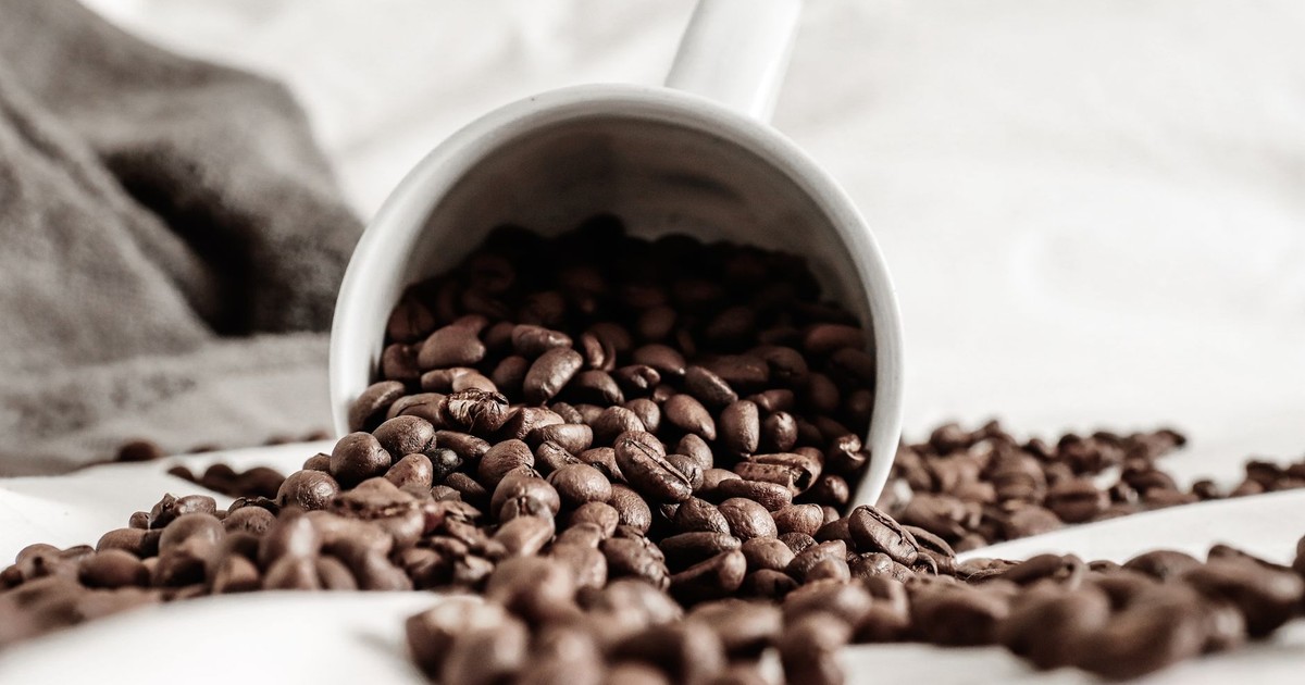 Aromatic coffee grains scattered on white cloth from fallen ceramic cup against plaid