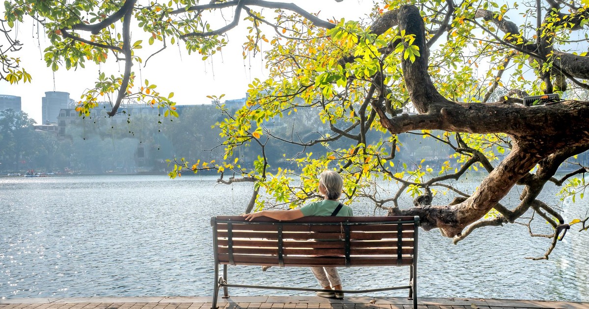 Elderly person relaxing on a bench by a tranquil lake surrounded by vibrant spring foliage.