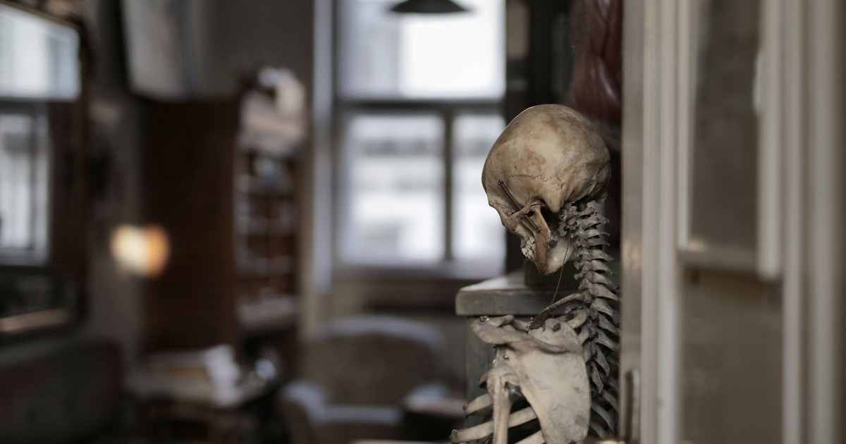 Human skeleton in selective focus leaning on wall with bowed head in dark old room of museum building