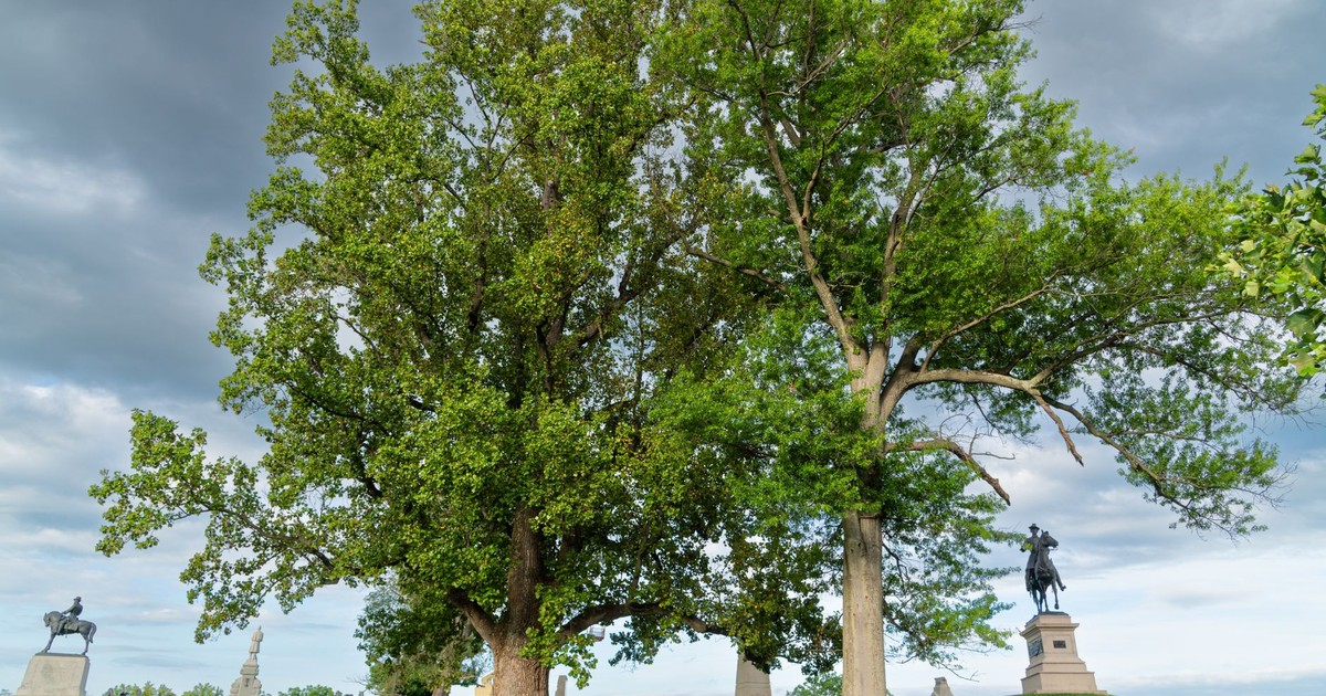 Scenic view of statues and trees at Gettysburg National Military Park, Pennsylvania.