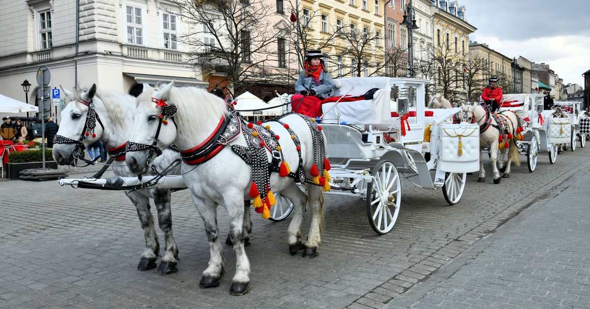 Beautiful horse-drawn carriages on a historic street in Kraków, Poland, perfect capturing the old town charm.