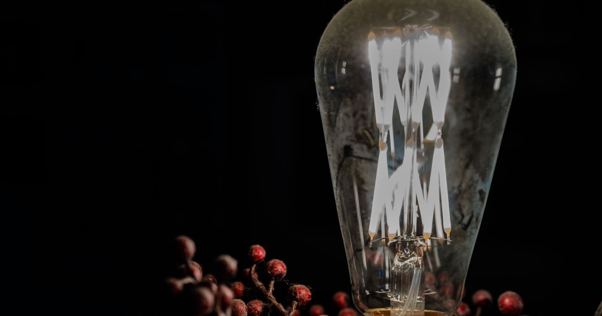 Close-up of a glowing vintage light bulb with red berries against a dark background.