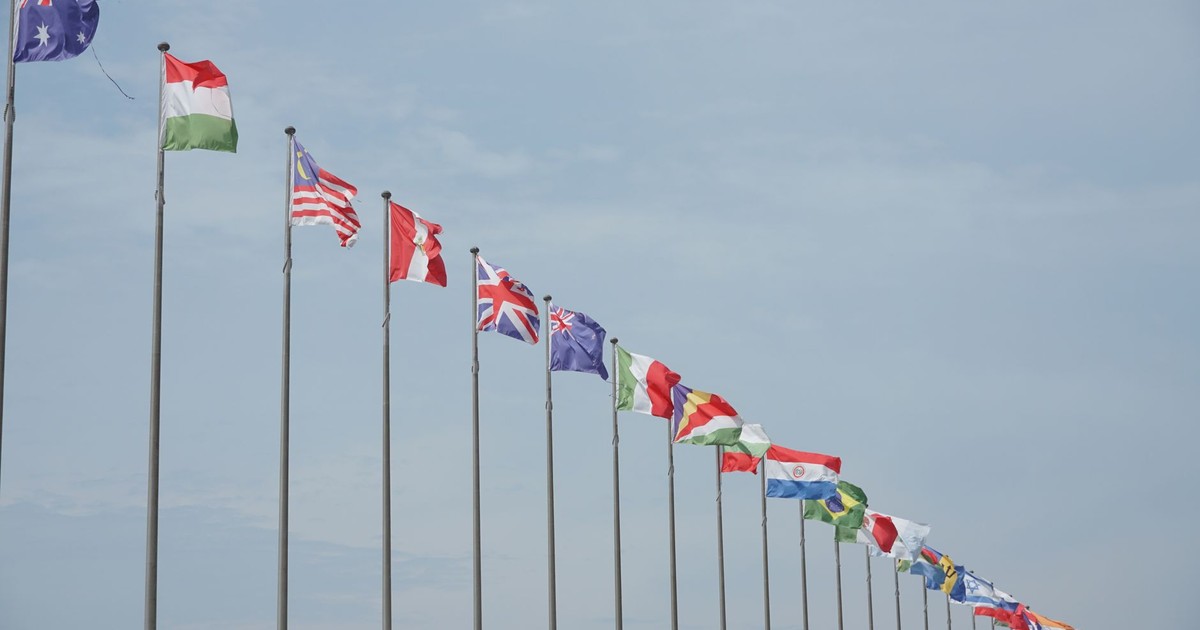A row of international flags on flagpoles symbolizing global unity and diplomacy.