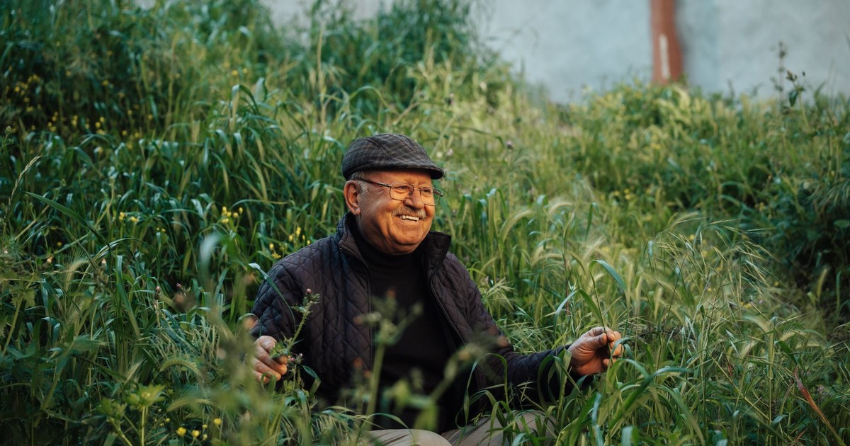 28 Hobbies Seniors Can Start Enjoying Right Now (No Experience Needed)