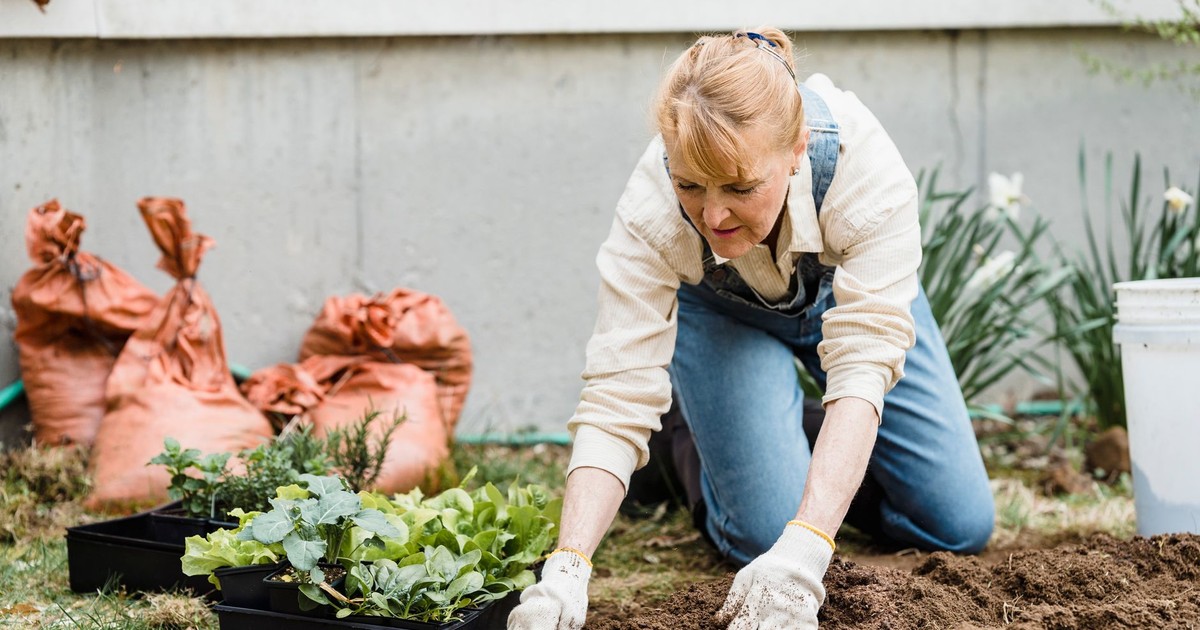 Senior woman kneeling in a garden, planting small plants in soil with protective gloves on.