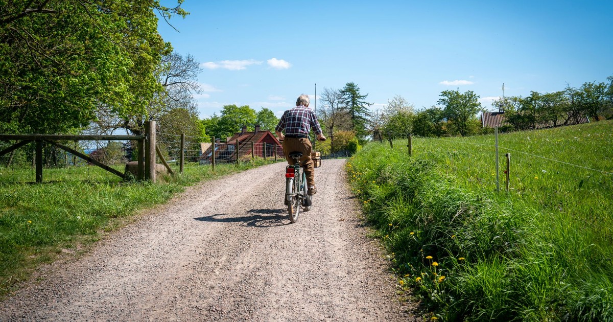 Senior adult cycling on a gravel path surrounded by lush countryside scenery.