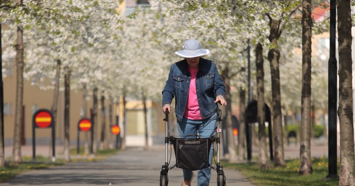 Elderly woman walking with a walker through a tree-lined park in springtime Jönköping, Sweden.