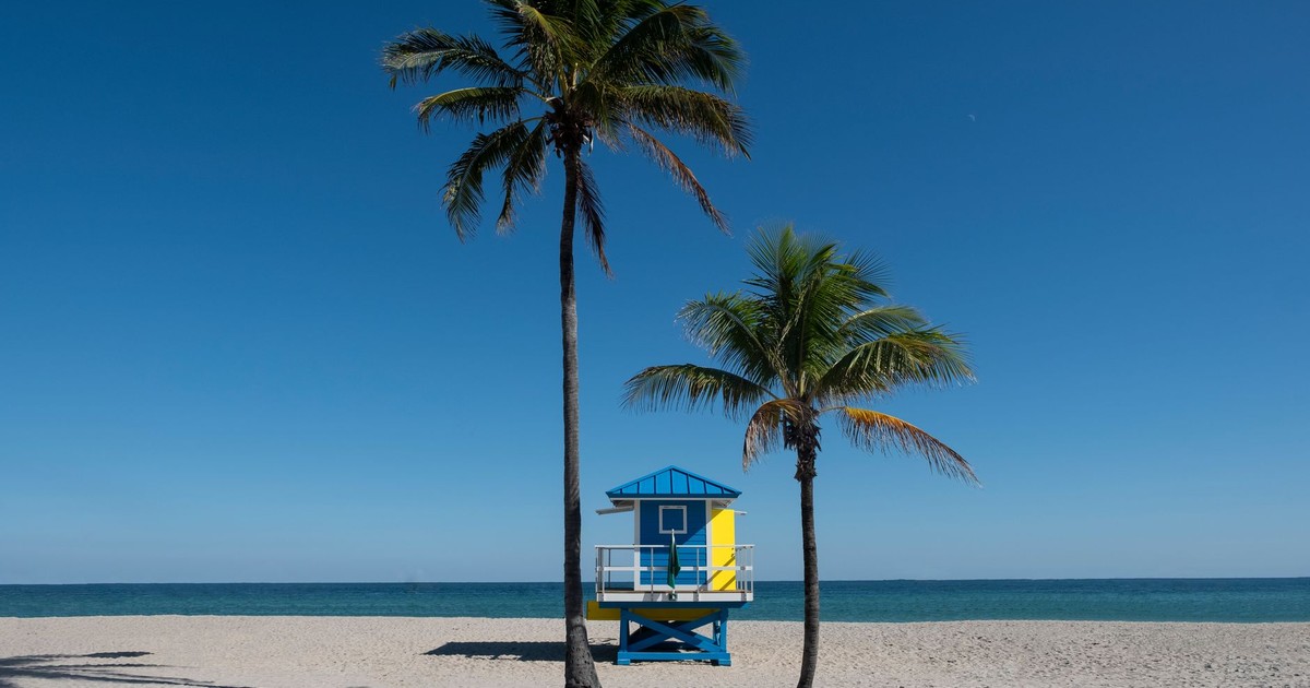 Serene Florida beach scene with palm trees and colorful lifeguard hut on a sunny day.