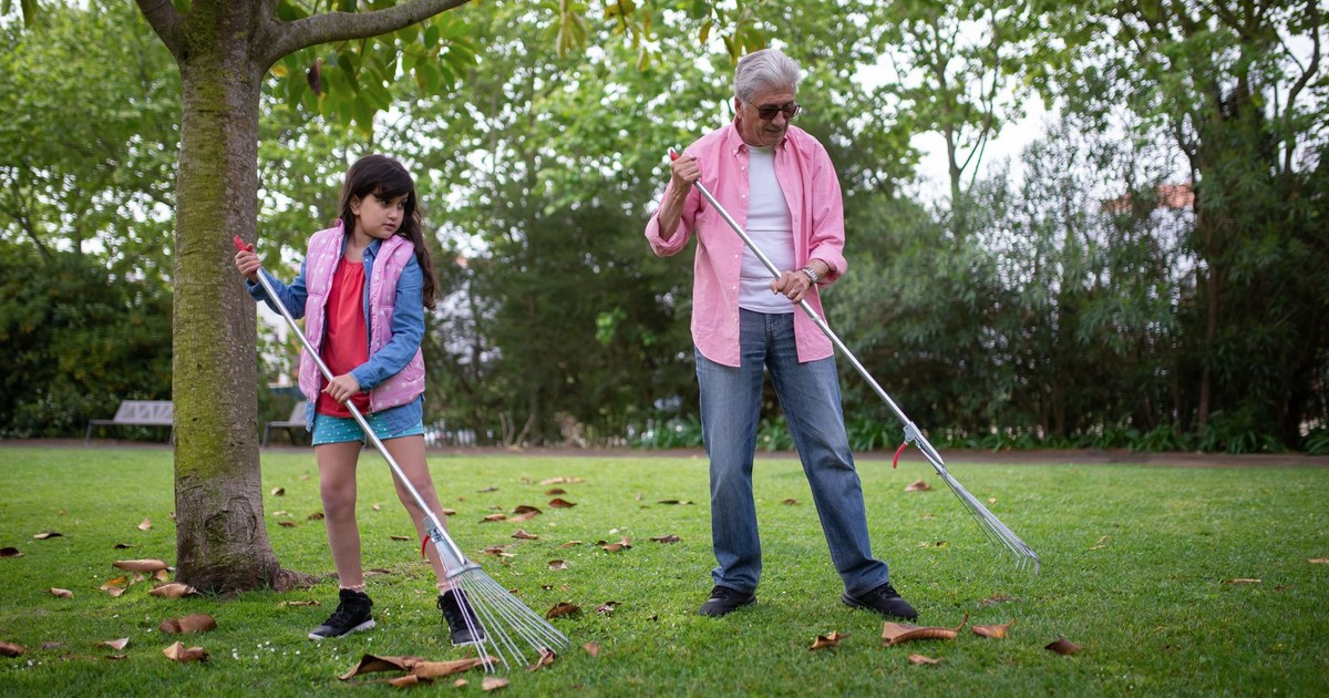 7 Reasons Why Baby Boomers Take Raking Leaves So Seriously (It Makes Sense)