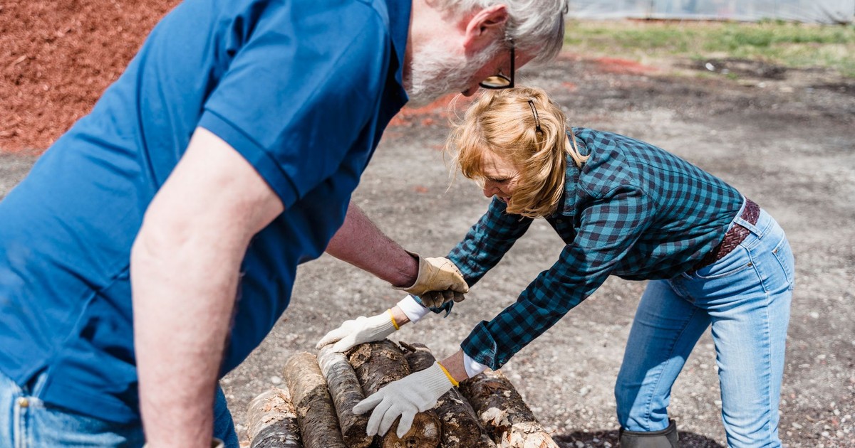 Senior couple working together to stack wood logs in a sunny outdoor setting.