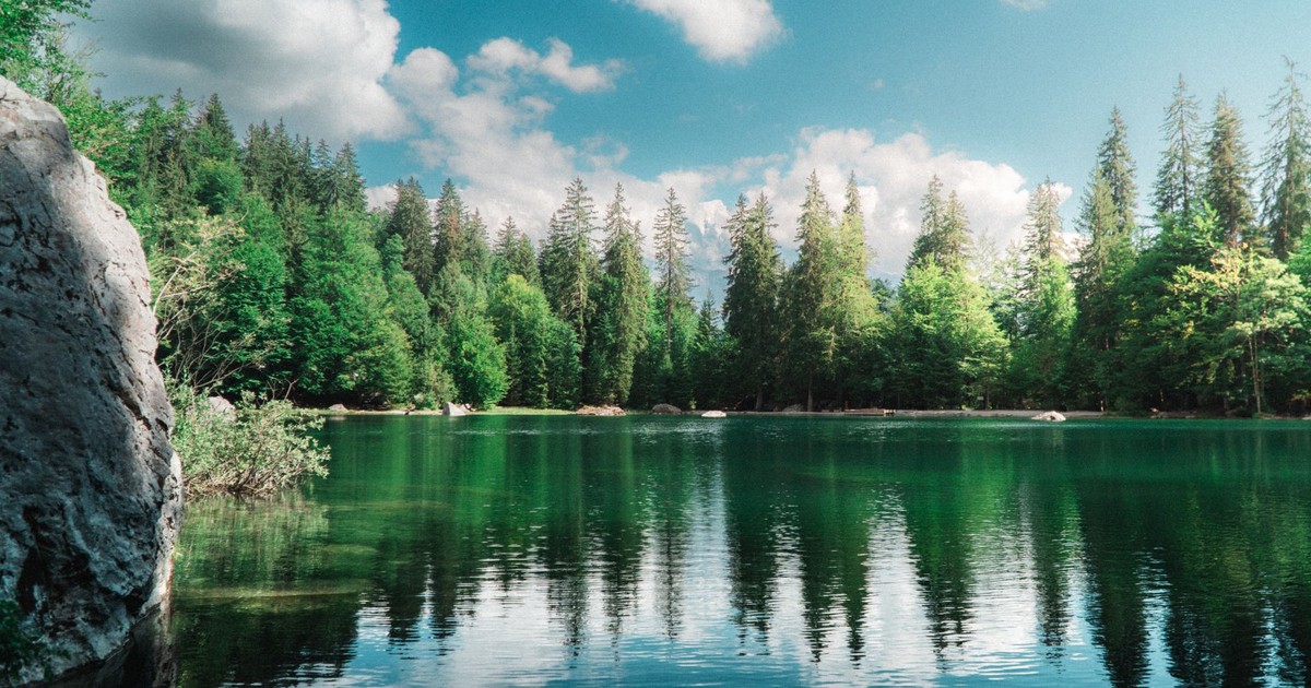 Tranquil mountain lake with lush green trees reflecting in the clear water under a blue sky.