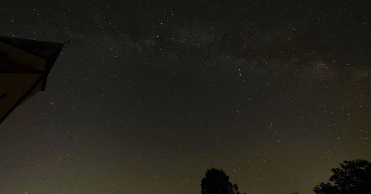 A stunning view of the starry night sky showcasing the Milky Way above silhouettes of trees.