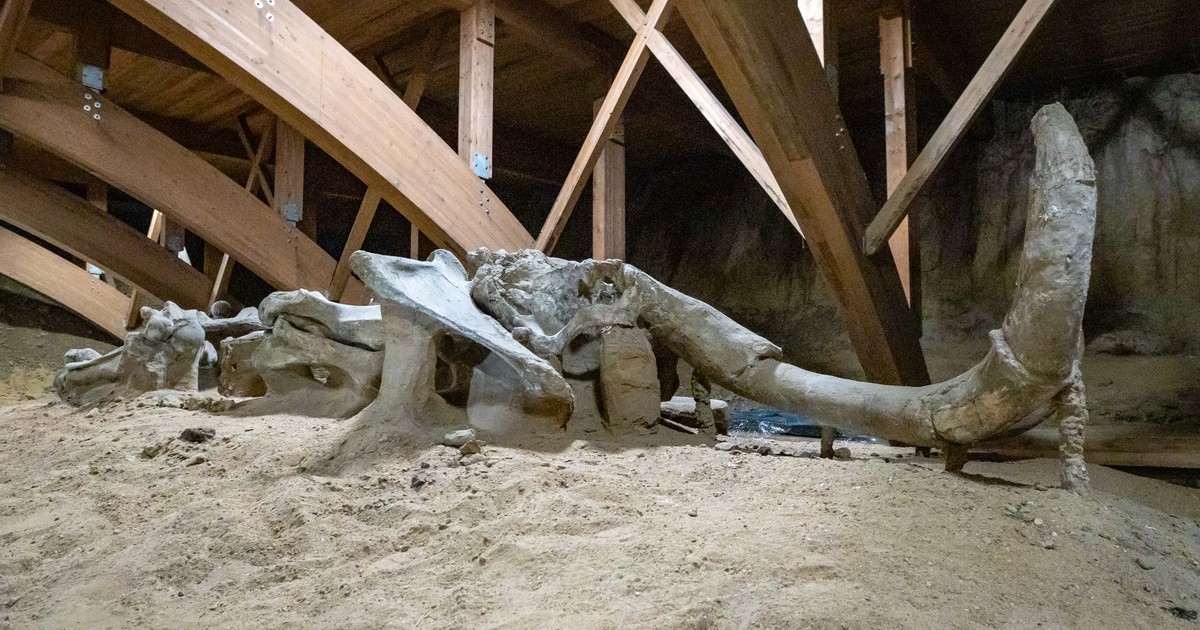 China’s Most Astonishing Dragon Discoveries Finally Make Sense