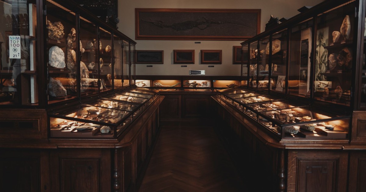 Exhibit of minerals and fossils in the Vienna Natural History Museum, featuring classic display cases.