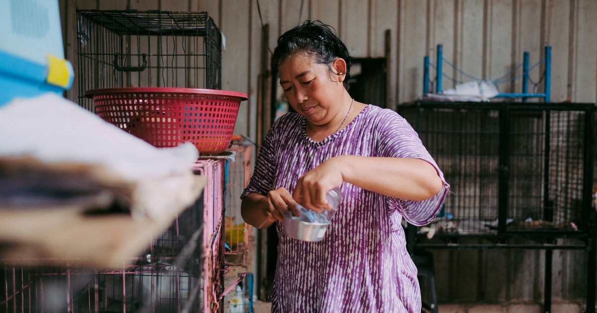 A woman feeding animals in an indoor shelter with several cages around.