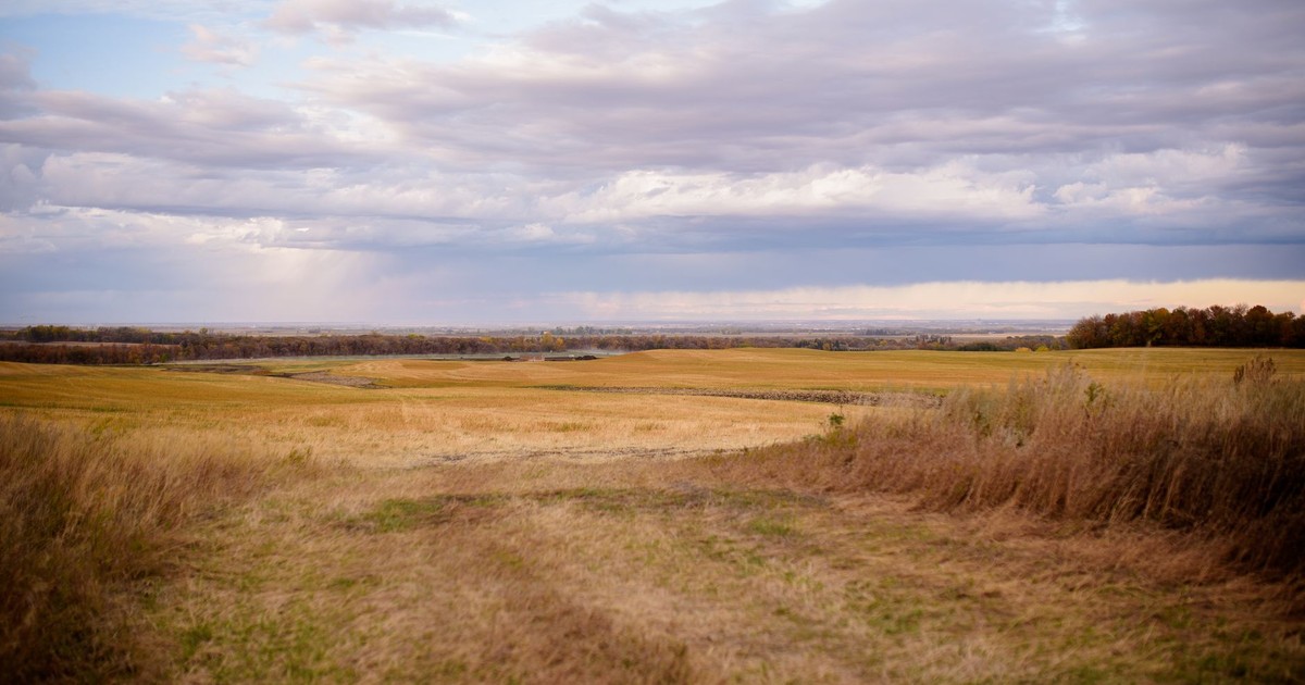 A vast grassland under a cloudy sky, offering a serene and open landscape view.