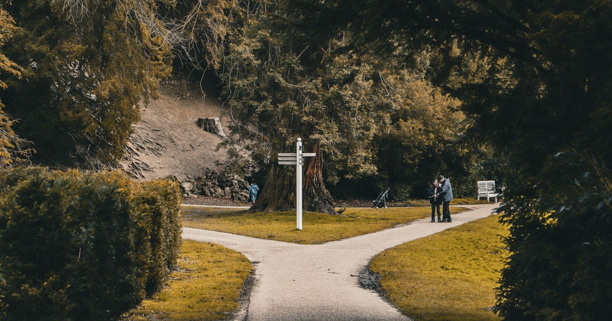 Picturesque park scene with a forked path and signpost, inviting exploration.