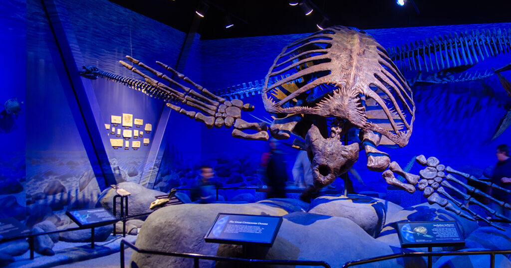 This Car-Sized Prehistoric Turtle Had Horns and Survived Crocodile Attacks - Featured image