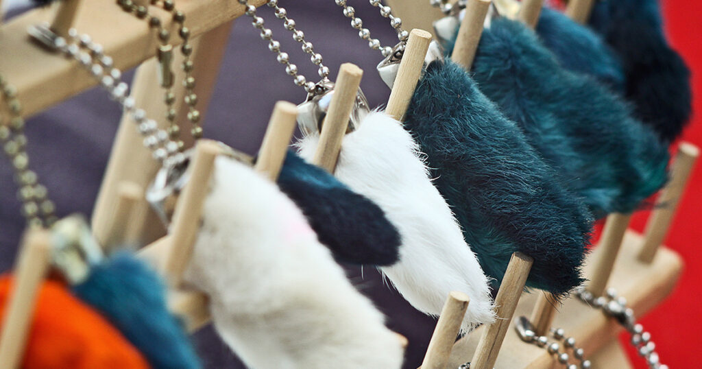 The Surprisingly Dark History of the Lucky Rabbit’s Foot - Featured image