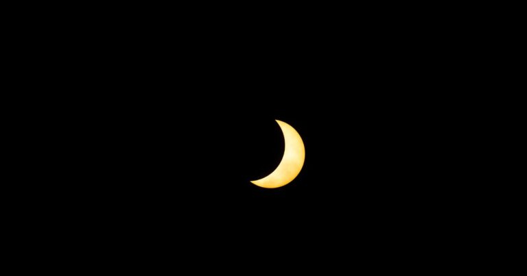 How the Solar Eclipse in Leo Will Affect Your Sign This Week - Featured image