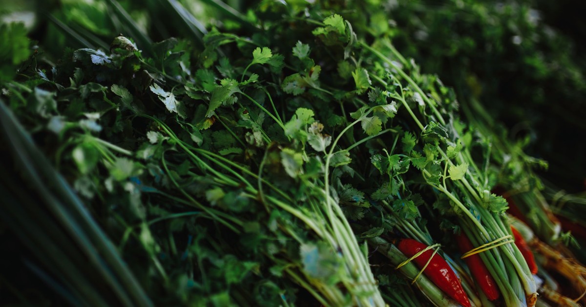 Close-up of fresh cilantro and scallions on display, ideal for cooking ingredients.