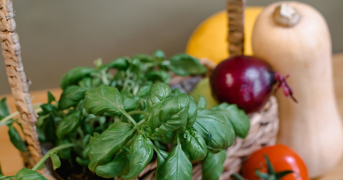 Close-up of fresh basil leaves with squash, tomatoes, and onion in a woven basket.
