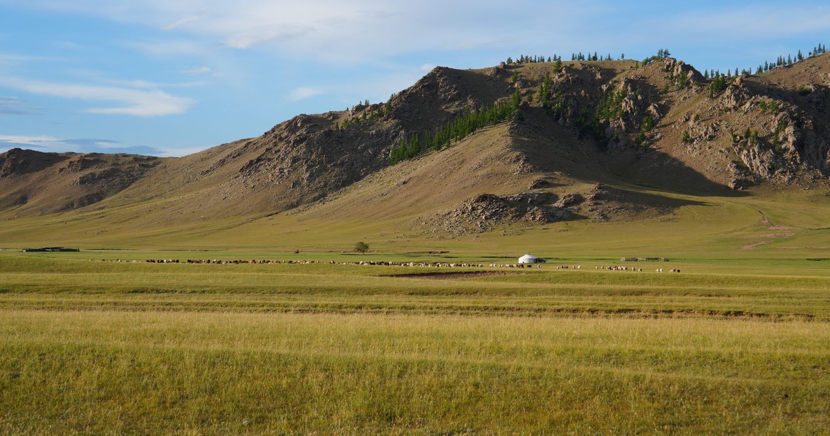 A wide shot of the Mongolian steppe featuring a yurt and grazing sheep below rugged mountains.