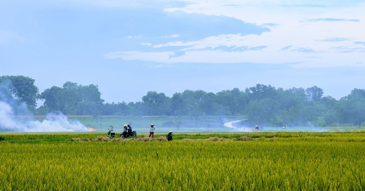 Idyllic rural scene with farmers working in lush fields under a vast blue sky.