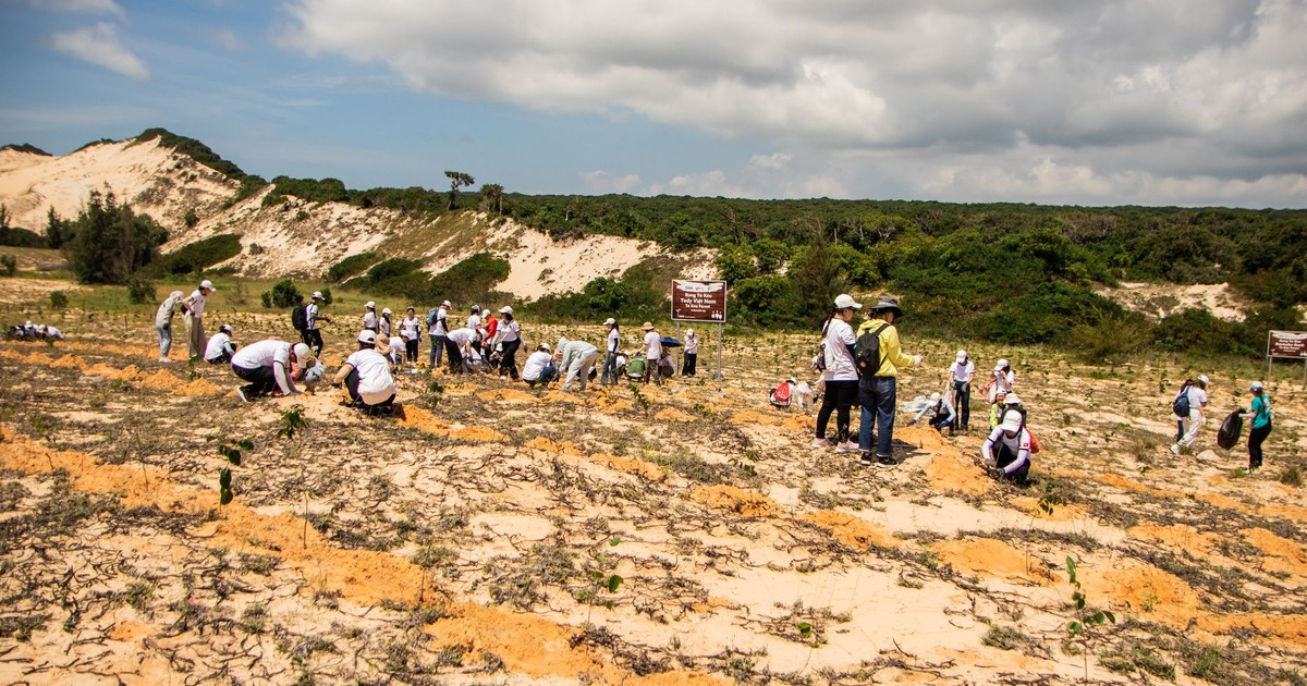 Group of volunteers participating in a tree planting event on sandy terrain in Phan Thiết, Vietnam.