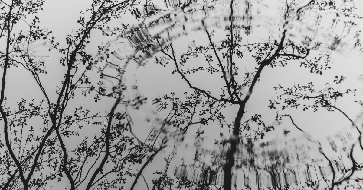 Grayscale image of tree branches reflected in water creating abstract patterns.